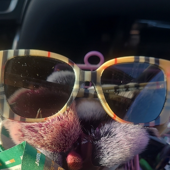 Accessories - Striped Sunglasses with Brown Lenses